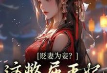 《贬妻为妾？这憋屈王妃我不当了》小说章节在线试读，《贬妻为妾？这憋屈王妃我不当了》最新章节目录-牛皮文学