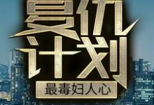 完结版《复仇计划：最毒妇人心》章节阅读-牛皮文学