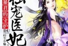 暴君的守护：独宠医妃小说，暴君的守护：独宠医妃在线阅读-牛皮文学