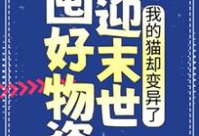 囤好物资迎末世，我的猫却变异了这本小说在哪里可以看？哪里有免费试读章节？-牛皮文学