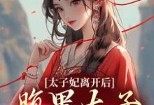 完结版《太子妃离开后，腹黑太子急疯了》章节阅读-牛皮文学