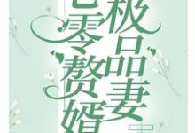 求七零赘婿极品妻小说的全文免费阅读链接-牛皮文学