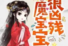 半魔宝宝很凶残（凌雪琪无夜）在线免费阅读-牛皮文学