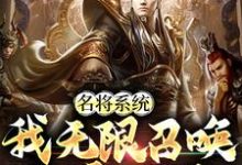 刘阿斗关凤小说《名将系统：我无限召唤称霸三国》在线阅读-牛皮文学