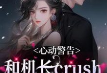 完结版《心动警告：和机长crush恋爱了》章节阅读-牛皮文学