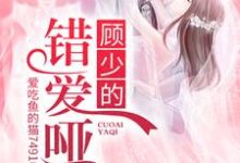 完结版《顾少的错爱哑妻》章节阅读-牛皮文学