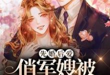 完结版《先婚后爱：俏军嫂被军官宠上天》在线免费阅读-牛皮文学