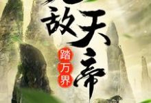 完结版《无敌天帝踏万界》章节阅读-牛皮文学