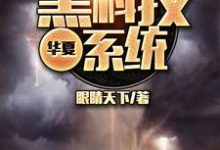 完结版《华夏黑科技系统》免费阅读-牛皮文学