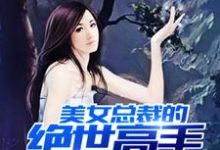 小说《美女总裁的绝世高手》在线章节阅读-牛皮文学