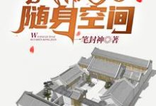 完结版《情满四合院：我带了一个随身空间》在线免费阅读-牛皮文学