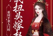 完结版《重回平妻入门时，我扭头嫁权王》章节目录在线阅读-牛皮文学