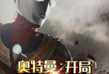 完结版《奥特曼：开局变身迪迦》免费阅读-牛皮文学