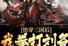 《快穿三国后，我拳打刘备脚踢曹操》小说主角李云章节章节免费在线阅读-牛皮文学