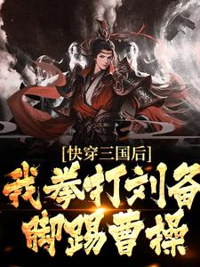 《快穿三国后，我拳打刘备脚踢曹操》小说主角李云章节章节免费在线阅读