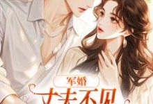 完结版《军婚：丈夫不见女儿被拐，我好累》在线免费阅读-牛皮文学