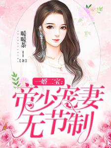 已完结小说《一婚二宝：帝少宠妻无节制》章节在线阅读