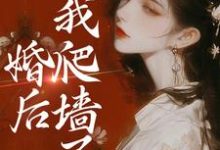 完结版《婚后，我爬墙了》免费阅读-牛皮文学