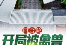 已完结小说《四合院：开局被禽兽们搬空家》在线章节阅读-牛皮文学