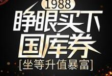 1988：睁眼买下国库券，坐等升值暴富最新章节，1988：睁眼买下国库券，坐等升值暴富章节在线阅读-牛皮文学