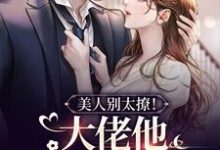 完结版《美人别太撩！大佬他装不下去了》在线免费阅读-牛皮文学