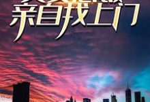 完结版《小说被发现后，美女总裁亲自找上门》章节阅读-牛皮文学