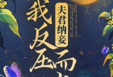 夫君纳妾，我反压而上小说全文哪里可以免费看？-牛皮文学