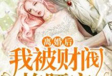 完结版《离婚后，我被财阀掐腰宠》免费阅读-牛皮文学