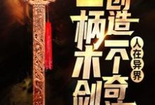 《人在异界：一柄木剑创造一个奇迹》小说大结局免费试读 赵子轩冷凝霜小说-牛皮文学