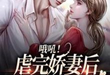 完结版《哦吼！虐完娇妻后，总裁火葬场了》章节阅读-牛皮文学