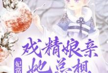 完结版《妃常难养：戏精娘亲她总想独自美丽》章节阅读-牛皮文学