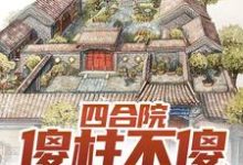 四合院：傻柱不傻，全禽发疯这本小说完结了吗？免费查看最新章节-牛皮文学