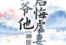 神医弃妃：王爷他后悔虐妻了最新章节，神医弃妃：王爷他后悔虐妻了章节在线阅读-牛皮文学