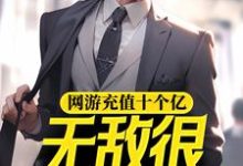 完结版《网游充值十个亿，无敌很正常吧》在线免费阅读-牛皮文学