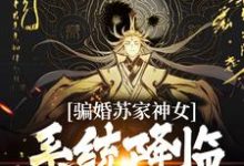 小说《骗婚苏家神女，系统降临上古神瞳》在线章节阅读-牛皮文学