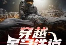 穿越星穹铁道，他成了审判官小说的无弹窗阅读体验，寻找免费阅读网站-牛皮文学