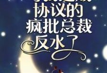 《闪婚夜，与我达成协议的疯批总裁反水了》小说章节在线试读，《闪婚夜，与我达成协议的疯批总裁反水了》最新章节目录-牛皮文学