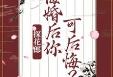 探花郎，悔婚后你可后悔？柳文茵谢安，探花郎，悔婚后你可后悔？在线无弹窗阅读-牛皮文学