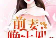 求只婚不爱：前妻，晚上见！小说免费资源-牛皮文学