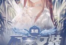 《系统：不穿女装就会死》小说章节列表免费试读，江橙李韩信小说在线阅读-牛皮文学