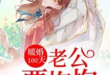 《暖婚100天：老公要抱抱》小说大结局免费试读 宁肖然顾淮宁宁筱安陆向北小说-牛皮文学