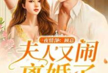 完结版《一夜情深：顾总，夫人又闹离婚了》免费阅读-牛皮文学