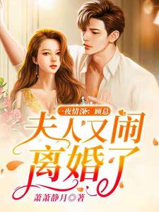 完结版《一夜情深：顾总，夫人又闹离婚了》免费阅读