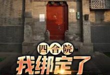 《四合院：我绑定了黄金垂钓系统》小说大结局免费试读 程文远小说-牛皮文学