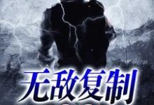 无敌复制系统章节免费在线阅读，张帆韩雪完结版-牛皮文学