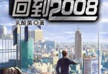 完结版《重启人生：回到2008》章节目录在线阅读-牛皮文学