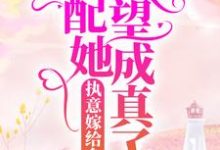 已完结小说《执意嫁给乡里汉，女配她愿望成真了》章节免费阅读-牛皮文学