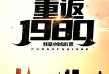 重返1980小说阅读，重返1980完结版-牛皮文学