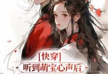 已完结小说《快穿：听到萌宝心声后，暴君赢麻了》章节在线阅读-牛皮文学