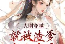 完结版《人刚穿越，就被渣爹卖女求荣》在线免费阅读-牛皮文学